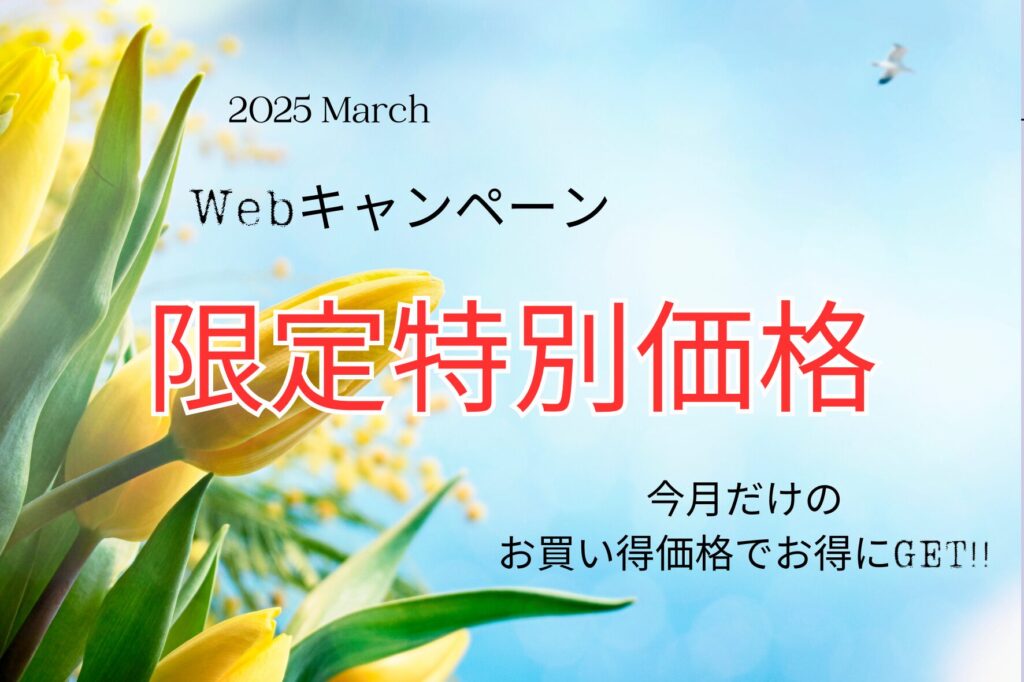 ３月のWEB限定特別価格！！